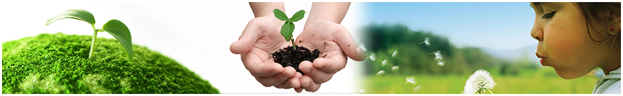 corporate-social-responsibility-banner